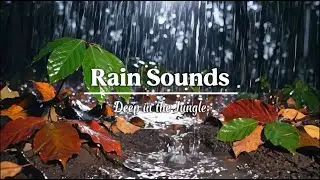 Midnight Rain on a Deserted Forest Road  |  Atmospheric ASMR
