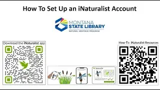 Настройка учетной записи iNaturalist