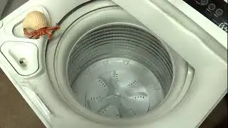 Fisher & Paykel Washer  WL26CW1 - Haul off washer Testing