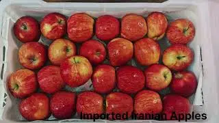 Imported IRANIAN Apples🍎#food #india #health #summer #trending #reels #shorts #vlog #video #viral 
