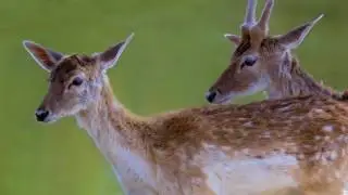 Egypt, Natural Heritage
