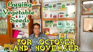 Best Vegetable Seeds for growing in October and November. Check the Brands and Prices thereof