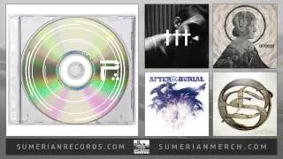 PERIPHERY - The Summer Jam: Jake