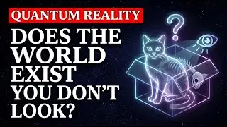 Quantum Reality: Does the World Exist When You Don&rsquo;t Look? | Physics to Sleep To