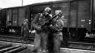 What Germans Really Thought About America's M1 Garand In WWII