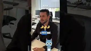 Votre perso PR&Eacute;F&Eacute;R&Eacute; de FAIRY TAIL ?