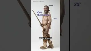 &Ouml;tzi the Iceman gets a makeover
