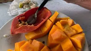 SUPERNATURAL IMMUNE SYSTEM & Liver Helpers! Eat Papaya seeds 4 HEALTH & potential HEALING benefits!