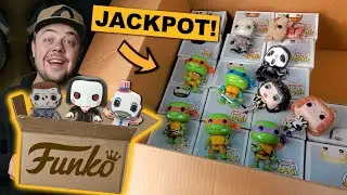 I Bought a Funko Pop Collection and Hit the JACKPOT!