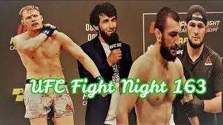 UFC 163 в Москве обзор итогов. Забит Магомедшарипов vs Келвин Кэттер, Александр Волков vs Грег Харди
