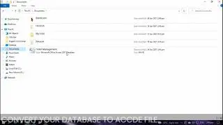 Final Project in CC225 | MS access Database to Executable File