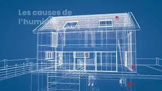 Les probl&egrave;mes d'humidit&eacute; dans un logement