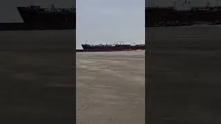 The size of this ship is absolutely insane #shipspotting #netherlands