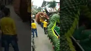 Kolaborasi naga antaboga dan naga puspita  #nagarjuna #liongsendangsari #liongantaboga