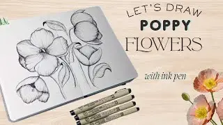 Drawing Poppy Flowers from Various Different Angles | Drawing Tips for Beginners
