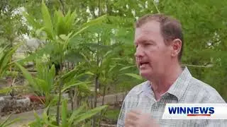 Moonlight Range Wind Farm | Win News