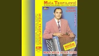 Harmoniko sviraj