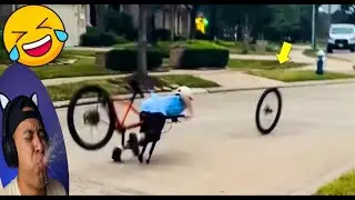 Try Not To Laugh🤣 Challenge Compilation 😱🤣 2025 Part 43 Fails of the Week #trynottolaughchallenge