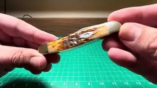 Case XX Muskrat Double feature Amber & Smooth White Bone knife review