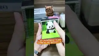 Whether it includes a calendar or not, in the end it will reveal a 3D model that will amaze you