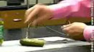 The Electric Pickle -- Chemistry in Action from Thinkwell Chemistry