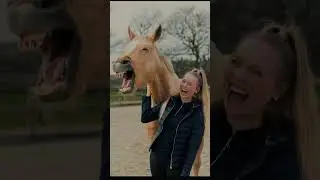 @HellaGabbert @HellaundTom #horse #bestpony #horsefan #equestrian #showpony #edit #soundhorse 🥹
