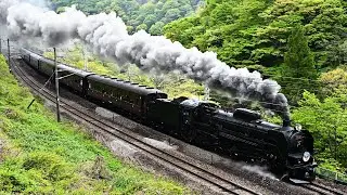 【C61 20】新緑のSLぐんまみなかみ【旧型客車】JR East Joetsu Line SL Gunmaminakami JNR Class C61