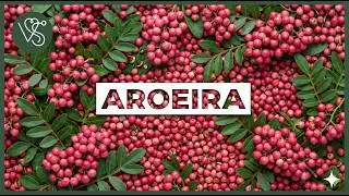 Os 12 Benef&iacute;cios da Aroeira Para Sa&uacute;de | Dicas de Sa&uacute;de