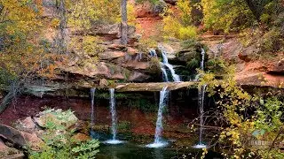 Right Fork North Creek, Zion 2017