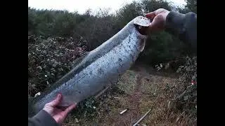 Steelhead Fishing 2021.