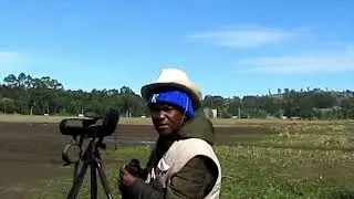Beautiful Birds of Manguo Swamp- Limuru-Birdwatching in Kenya