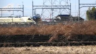TRAIN SUITE 四季島 2026年1月10日 東鷲宮～栗橋 通過シーン