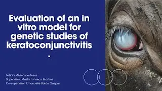 Final Pitch -   Evaluation of an in vitro model for genetic studies of IBK