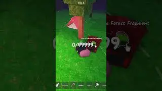Opening  Ruby Chest in Update Party | 99 Nights in the forest #roblox #99nightintheforest