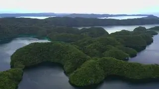Koror, Palau 2020