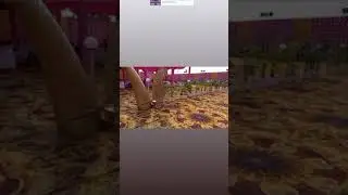 Osama saham wedding day today pratappur siwan bihar live.