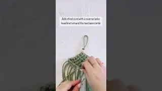 Air Plant Hanger Tutorial! 🌱