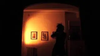 Wife - Monkey Liver.mov