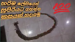 කටින පෙරහැරෙ ගම දෙදරන්න ගහන්න සුපිරි කසයක් හදමු?