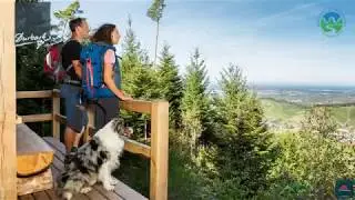 Durbacher Premium-Wandervielfalt