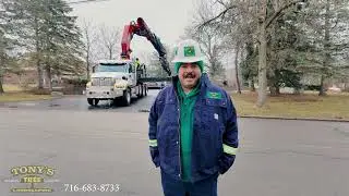 Tony Trees 30 ton robotic, remote control tree cutter crane with 155 foot Reach