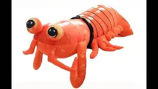 song made for a shrimp