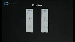 Clungene Rapid Test Kit Video Tutorial