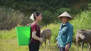 Harvesting Giant Wild Stone Frogs & Goes to Market Sell &ndash; Farm Life in the Forest
