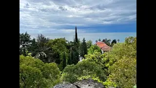 Абхазия, отель Дельфин