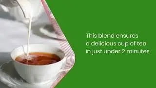 PG Tips Pyramid Tea Bags Pack of 1100