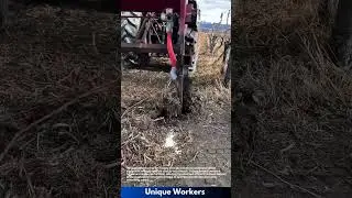 Tractor Fertilizing Vineyard: Precision Application in Action