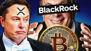 WorldCoin что вы творите?! Утекший Биткоин план Blackrock. Илон Маск Twitter/Х использует Ripple XRP