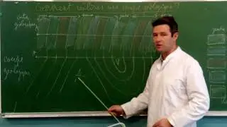 Comment réaliser une coupe géologique ?