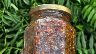 Bitter Eggplant plant |#pickle #cooking #homemade #nagaland #food .